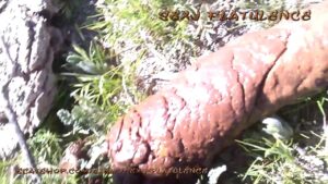 Free Scat Porn
