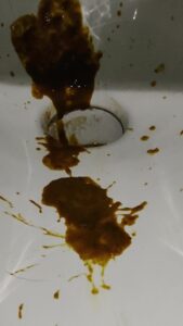 Free Scat Porn