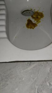 Free Scat Porn