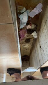 Free Scat Porn