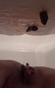 Free Scat Porn