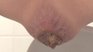 Free Scat Porn