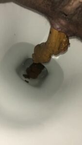 Free Scat Porn