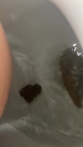 Free Scat Porn