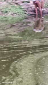 Free Scat Porn