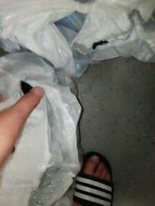 Free Scat Porn