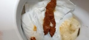 Free Scat Porn