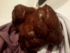 Free Scat Porn