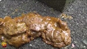 Free Scat Porn