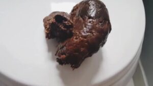 Free Scat Porn