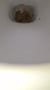 Free Scat Porn