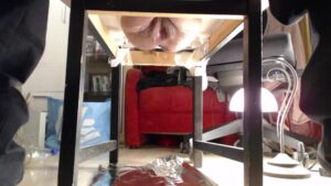 Free Scat Porn