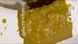 Free Scat Porn