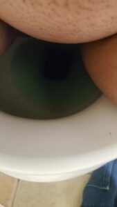Free Scat Porn