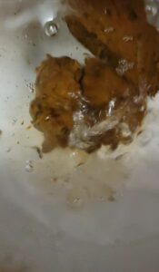 Free Scat Porn