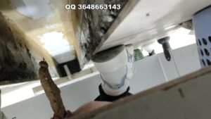 Free Scat Porn