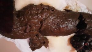 Free Scat Porn