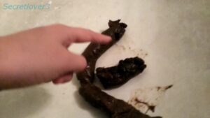 Free Scat Porn