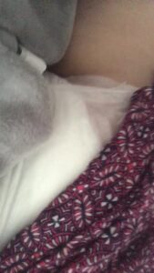 Free Scat Porn