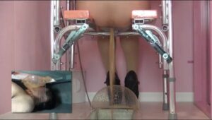 Free Scat Porn