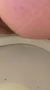 Free Scat Porn