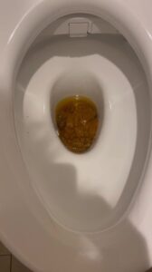 Free Scat Porn