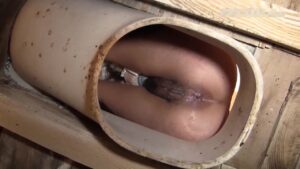 Free Scat Porn