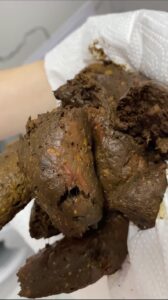 Free Scat Porn