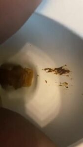 Free Scat Porn