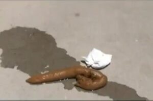 Free Scat Porn
