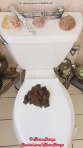 Free Scat Porn
