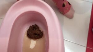 Free Scat Porn