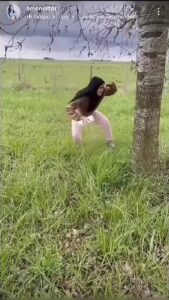 Free Scat Porn