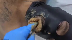 Free Scat Porn