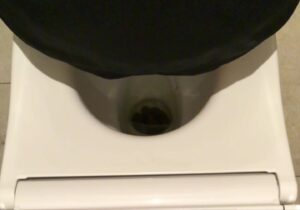 Free Scat Porn