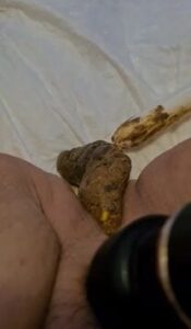 Free Scat Porn