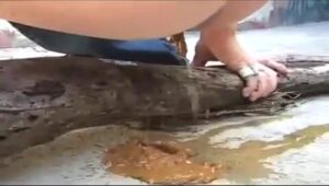 Free Scat Porn