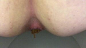 Free Scat Porn