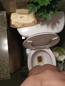 Free Scat Porn