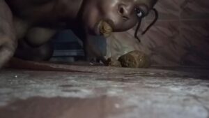 Free Scat Porn