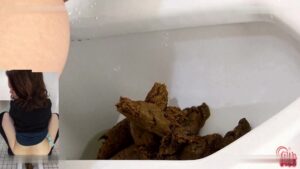 Free Scat Porn
