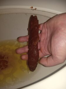 Free Scat Porn