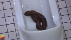 Free Scat Porn