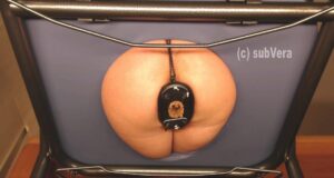Free Scat Porn