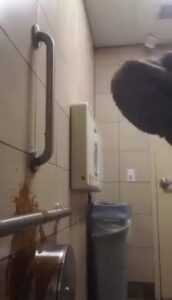 Free Scat Porn