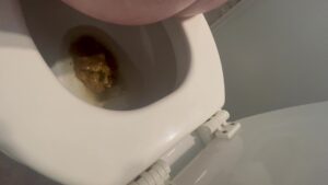 Free Scat Porn
