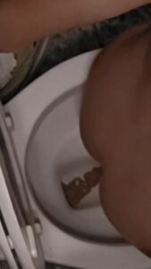 Free Scat Porn