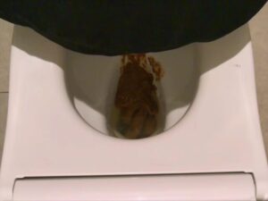 Free Scat Porn