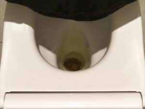 Free Scat Porn