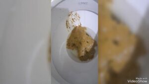 Free Scat Porn